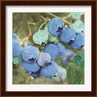 Blueberries 2 Fine Art Print