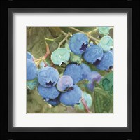 Blueberries 2 Framed Print