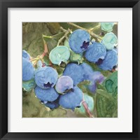 Blueberries 2 Fine Art Print