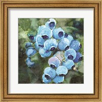 Blueberries 3 Fine Art Print