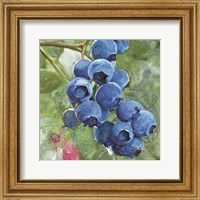 Blueberries 4 Fine Art Print