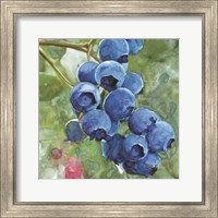 Blueberries 4 Fine Art Print