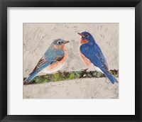 Eastern Bluebirds 2 Fine Art Print
