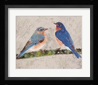 Eastern Bluebirds 2 Framed Print