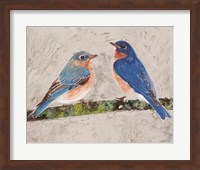 Eastern Bluebirds 2 Fine Art Print