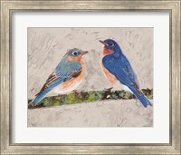 Eastern Bluebirds 2 Fine Art Print