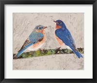 Eastern Bluebirds 2 Fine Art Print
