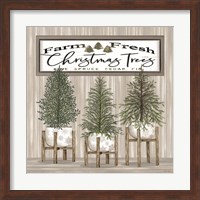 Potted Christmas Trees Fine Art Print