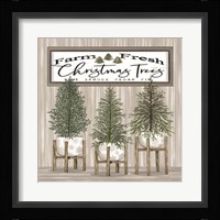 Potted Christmas Trees Fine Art Print