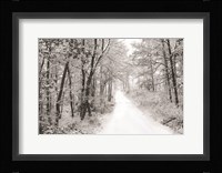 Snowy Lane Fine Art Print