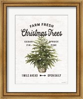 Farm Fresh Christmas Trees I Fine Art Print