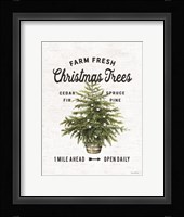 Farm Fresh Christmas Trees I Fine Art Print