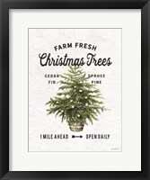 Farm Fresh Christmas Trees I Fine Art Print