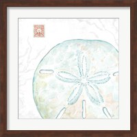 Delicate Sea IX Fine Art Print