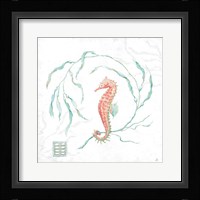 Delicate Sea III Framed Print