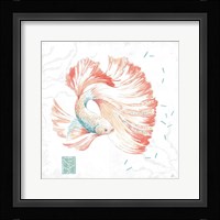 Delicate Sea II Framed Print