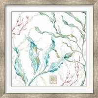 Delicate Sea XI Fine Art Print