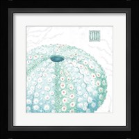 Delicate Sea VIII Framed Print
