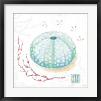 Delicate Sea VII Fine Art Print