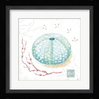 Delicate Sea VII Framed Print