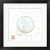 Delicate Sea VI Fine Art Print