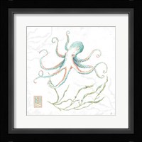 Delicate Sea V Framed Print
