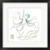 Delicate Sea V Fine Art Print
