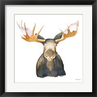 Moose Framed Print