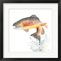 Cutthroat Trout Framed Print