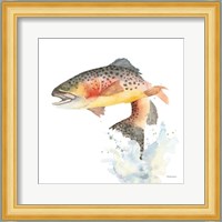 Cutthroat Trout Fine Art Print