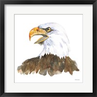 Bald Eagle Fine Art Print