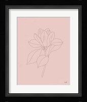 Magnolia Line Drawing Pink Fine Art Print