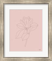 Magnolia Line Drawing Pink Fine Art Print