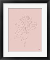 Magnolia Line Drawing Pink Framed Print