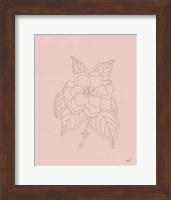 Gardenia Line Drawing Pink Fine Art Print