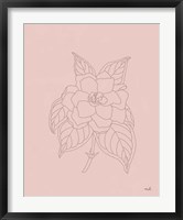 Gardenia Line Drawing Pink Fine Art Print