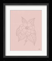 Gardenia Line Drawing Pink Fine Art Print