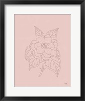 Gardenia Line Drawing Pink Framed Print