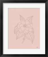 Gardenia Line Drawing Pink Framed Print