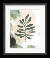 Sage Bliss III Framed Print