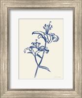 Ink Lilies I Blue Fine Art Print