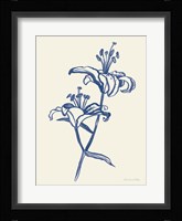 Ink Lilies I Blue Framed Print