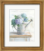 Morning Hydrangeas II Fine Art Print