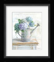 Morning Hydrangeas II Framed Print