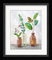 Natural Riches III Clear Vase Framed Print