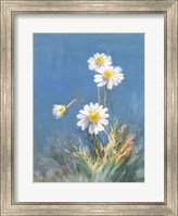 White Daisies No Butterfly Fine Art Print