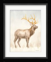 Regal Wild I Fine Art Print