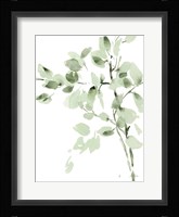 Cascading Branches II Framed Print