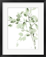 Cascading Branches II Framed Print
