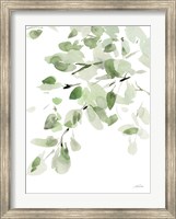 Cascading Branches I Fine Art Print